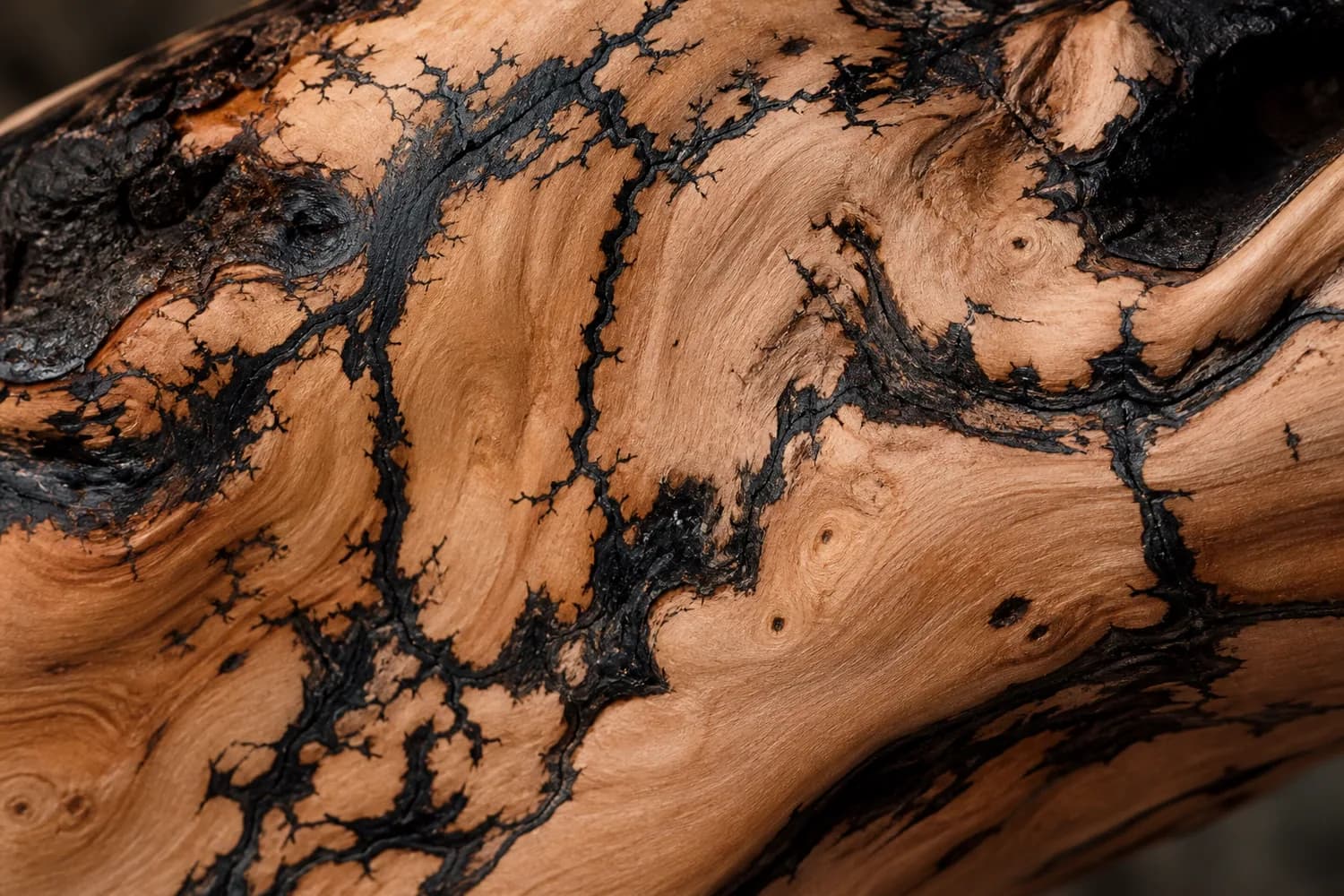 Natural lightning-struck jujube wood grain
